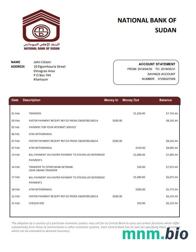 Szablon wyciągu bankowego Sudan Al Neelen w programie Word i PDF